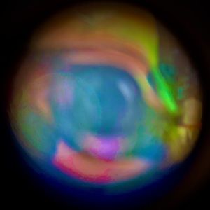 Meet your Posher, Heidi